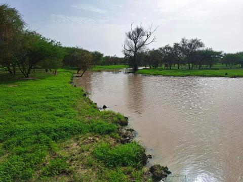 أمطار معتبرة على مناطق متفرقة من عدة ولايات