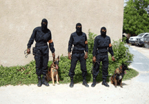 صورة من محرك البحث